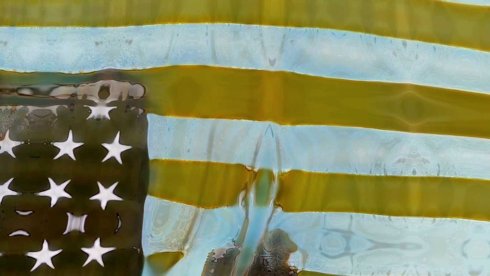 Vanishing Of The Genuine: Bone Flag by Bård Ionson