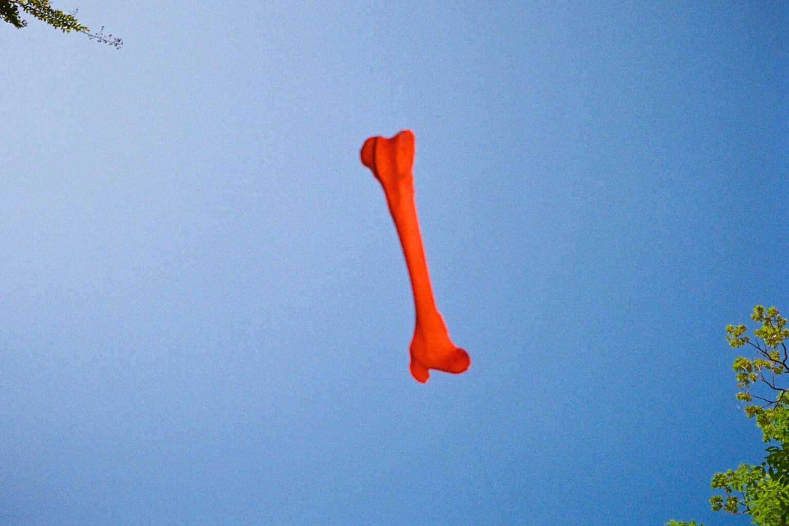 Blurring Reality: Georgia O'Keeffe Inspired My New AI Art Installation, 'Bones In The Sky'