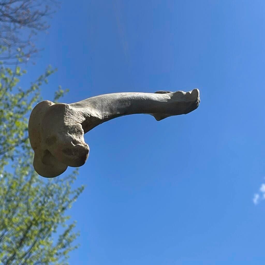 Blurring Reality: Georgia O’Keeffe Inspired My New AI Art Installation, ‘Bones In The Sky’